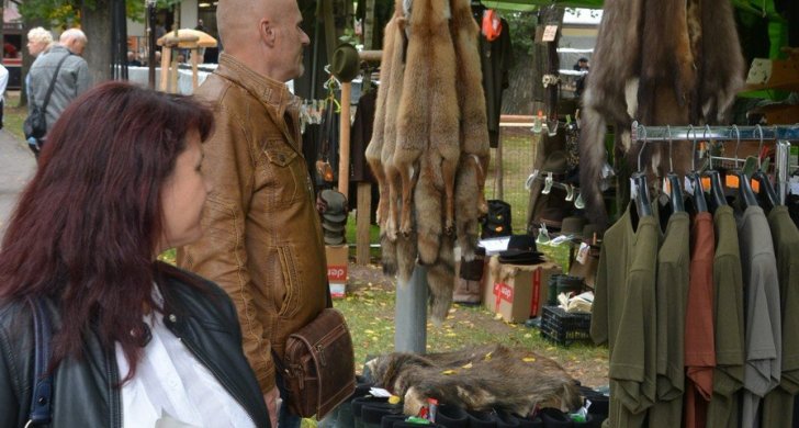 DSC_4502.JPG